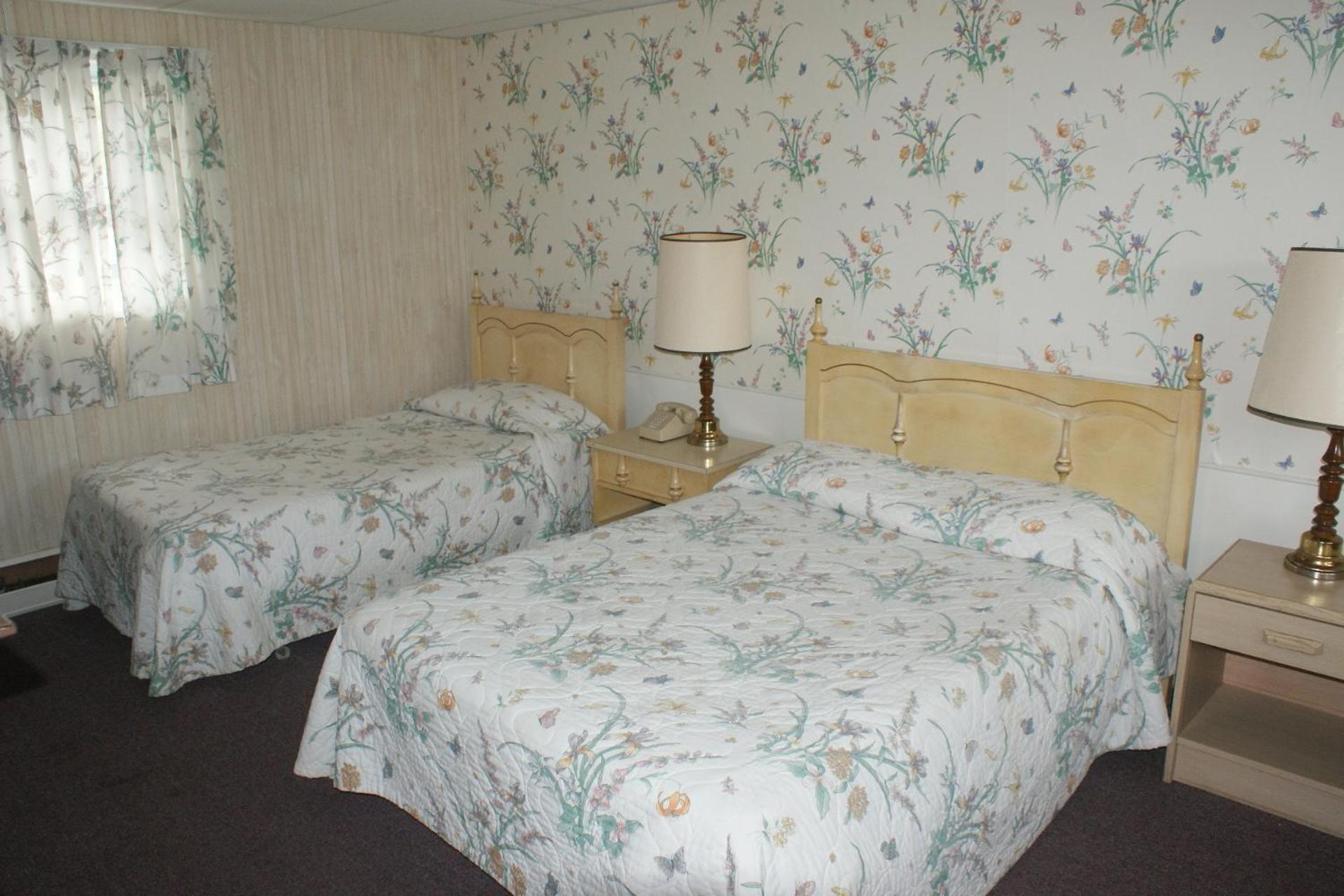 Northern Peaks Motor Inn Горъм Екстериор снимка